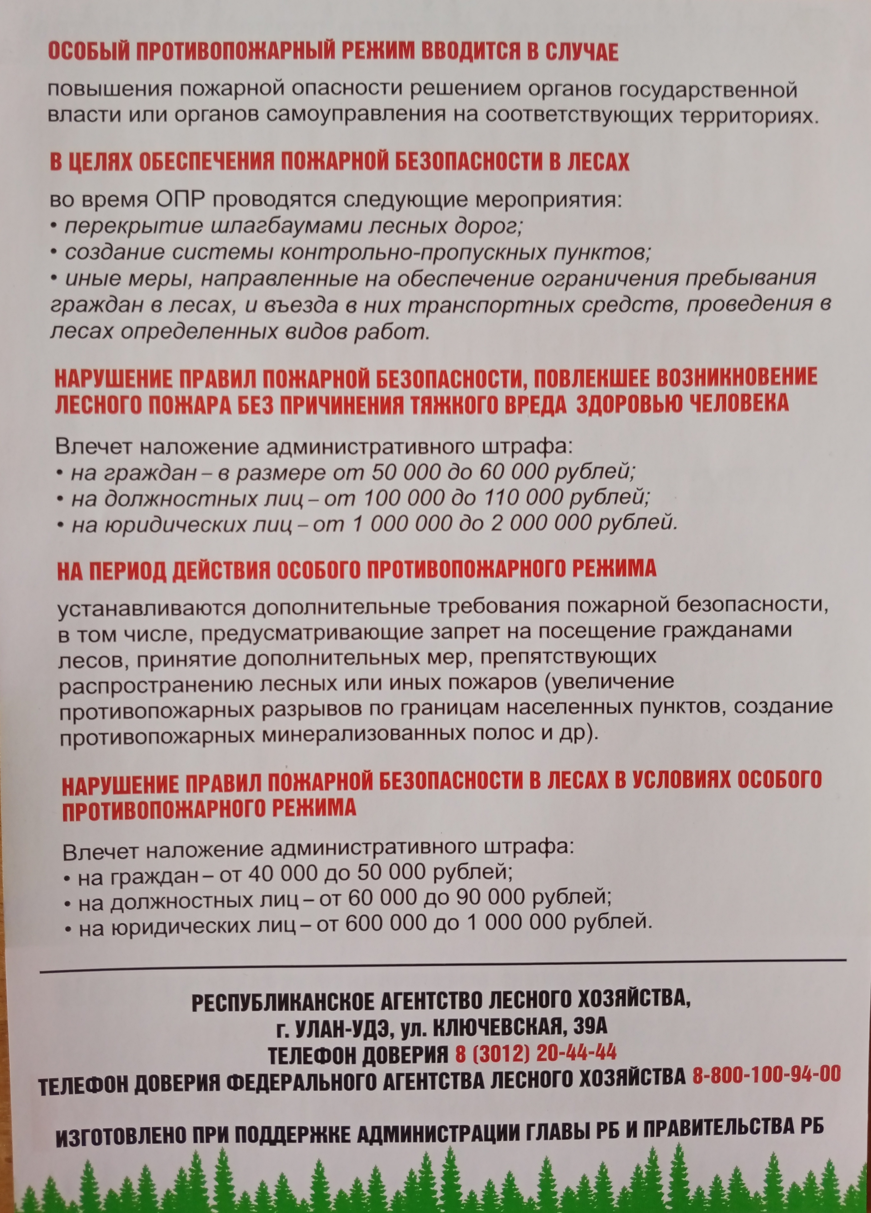 Нарушение правил пожарной безопасности в лесах в условиях особого противопожарного режима.